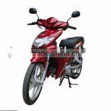 110cc Motorcycle / Cub Motorcycle/ Scooter (WJ-SUZUKI Engine)