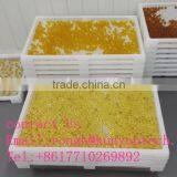 FDA Proved Pharmaceutial Softgel Gelatinous Capsule Filling Machine For Large Scale Production thumbnail-4