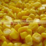 Canned Sweet Corn Kernel thumbnail-1