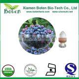 European Bilberry Extract thumbnail-1