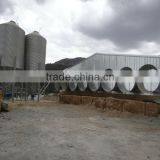 Broiler Poultry Farm Design thumbnail-2