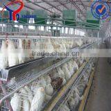 Poultry in Kit Free Transport thumbnail-1