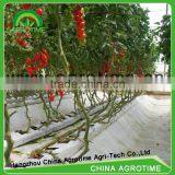 Greenhouse Hydroponics Systems for Sales thumbnail-2