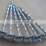New Product Roofing Nail Made in China thumbnail-1