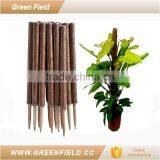 2017 New Garden Coconut Plant Support Poles thumbnail-1