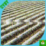 Agricultural Black and White Plastic Mulch Film / Black Mulch Film thumbnail-3