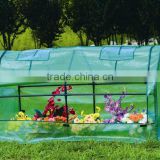 2012 new design PE cover green house (HDS20801)
