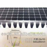 Hydroponics Plant Germination System Using Plastic Germination Trays With Plants in Rockwool