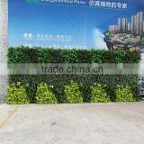 SJ0409023 Parede Plantas Artificiais /fake Natual Plant Wall thumbnail-5