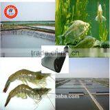 Swimming Pool /Shrimp Pond HDPE Geomembrane Liner(ASTM) thumbnail-3
