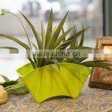 Fanshaped Plastic Melamine Flower Pot thumbnail-2