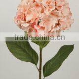 Stable Supplying Exporting Purchase Tahitian Tiare Flower