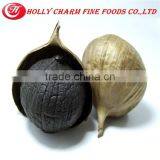 Hot Sale Healthcare Product Solo Black Garlic thumbnail-2