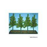 Sell 4 Pine Trees With Picks thumbnail-1