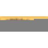 Wooden Guard Rail thumbnail-1
