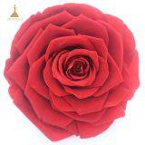 Big Size Preserved Flower Rose for Decor Supplies thumbnail-1