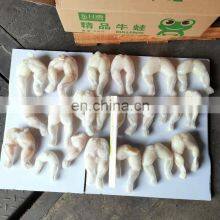 China Wholesale Skinless Frozen Bull Frog Legs Frozen Frogs for Sale thumbnail-3