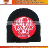 Fashionable Jacquard Custom Skull Beanie,knit Beanie China Wholesale thumbnail-6