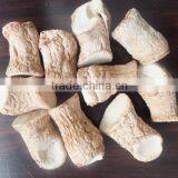 High Quality Dried Shiitake Mushroom Stem