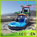 New Point inflatable water slide,inflatable slide for summer,latest garden play inflatable slide
