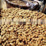 Washed Peanut in Shell 2012 CROP thumbnail-1