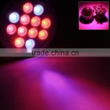 Coocheer E27 12W Led Plant Grow Light Red Blue LED Lights for Plants in Garden Greenhouse AM000899