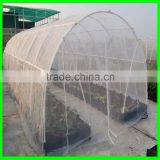 Elastic Insect Mesh Anti Bird Net for Organic Net Crop Veg Protection thumbnail-2