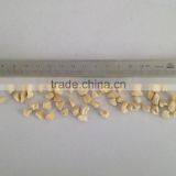 High Capacity Cashew Nut Chopping Machine/peanut Chopping Machine/peanut Mincing Machine thumbnail-3