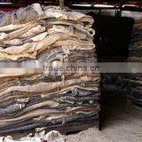 WET SALTED HIDES thumbnail-1