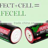 Shandong Dry Cell Battery Company/corporation for R20 thumbnail-2