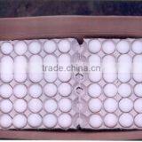 FRESH CHICKEN EGGS WHITE / BROWN FOR SALE