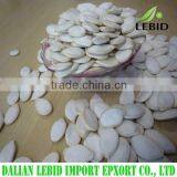 Wholesale Chinese all kinds pumpkin seeds