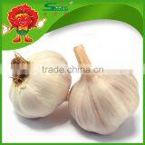 Low Price Garlic Wholesale 5.0-6.0cm Garlic thumbnail-2