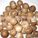 Dried Betel Nut High Quality and Best Price From Vietnam