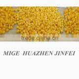 Frozen Sweet Corn