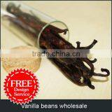 Vanilla Beans Wholesale