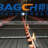 Automatic Feeding Chain System for Breeder