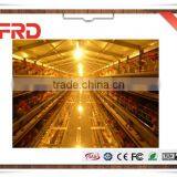 FRD Cheapest High Quality Plastic Chicken Transport Cage/chicken Cage for 1 Day Old Chicks/broiler Battery Cage thumbnail-5