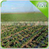 Best Selling Agriculture Greenhouse Drip Irrigation Hose Low Cost thumbnail-1