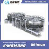 Large Output Spiral Belt Freezer With Good PrIce thumbnail-2