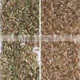 Intelligent CCD Grain Color Sorter Sesame Color Sorter Price thumbnail-2