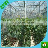 New Design High Quality Woven Fabric Greenhouse Film,solar Control Clear Waterproof Membrane Vegetables Planting Equipment thumbnail-6