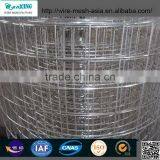 China Wholesale Professional Manufacture Galvanized Welded Wire Mesh