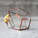 Pyramid Shaped Glass Terrarium for Indoor Plant Holder thumbnail-4