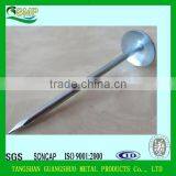 Common Nails/Concrete Steel Nail/Roofing Nail China Manufacturer thumbnail-6