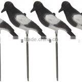 Full Body Flocked Magpie Decoy With Stake thumbnail-3