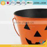 Outdoor Garden Containers Iron for Plants Kids Plant Pots thumbnail-6