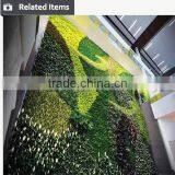 Outdoor Green Wall Long Lasting Green Facades Artificial Green Wall thumbnail-4