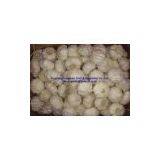 Normal White Garlic 5.0-6.0cm thumbnail-3