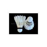 Shuttlecock Kicking|shuttlecock Uk|shuttlecock Brand|shuttlecock Singapore|shuttlecock Factory|shuttlecock Icon|shuttlecock Price Malaysia|shuttlecock Yonex|shuttlecock Foot|shuttlecock Speed thumbnail-2